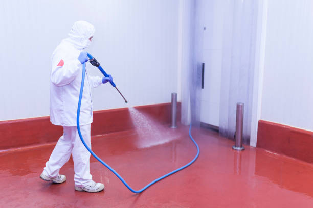 Best Boat and Dock Cleaning  in Wormleysburg, PA